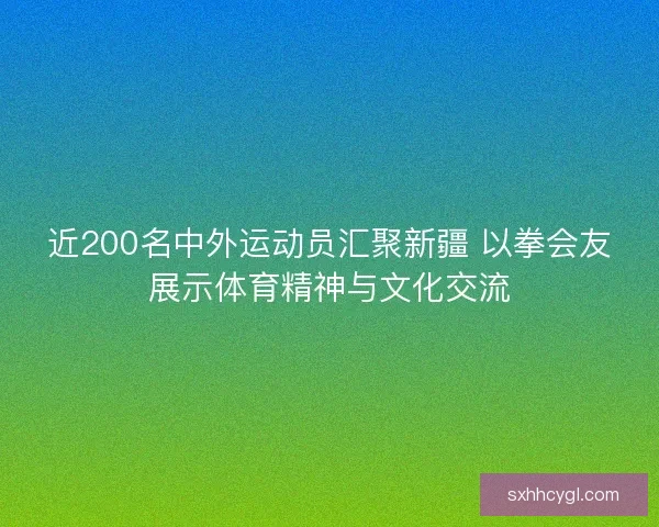 近200名中外运动员汇聚新疆 以拳会友展示体育精神与文化交流